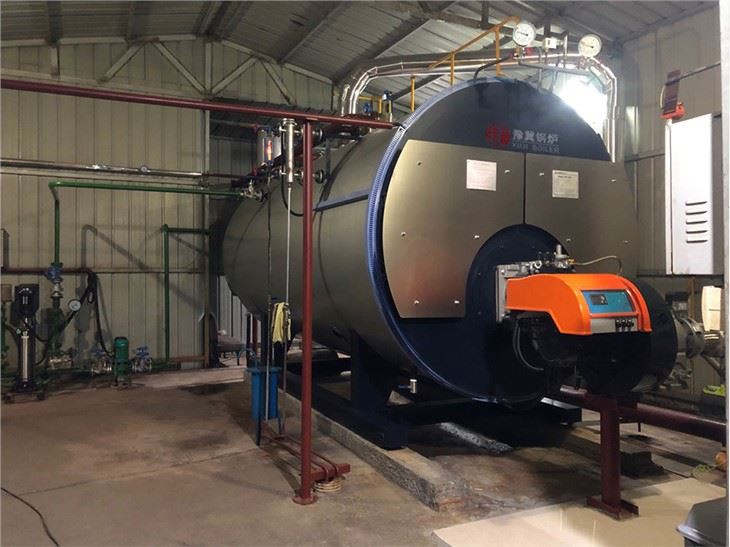 1-10t Wns Series Diesel Gas Fired Steam Boiler