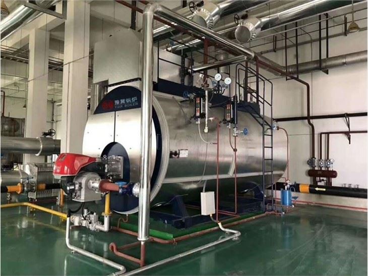 Biogas Fired Boiler